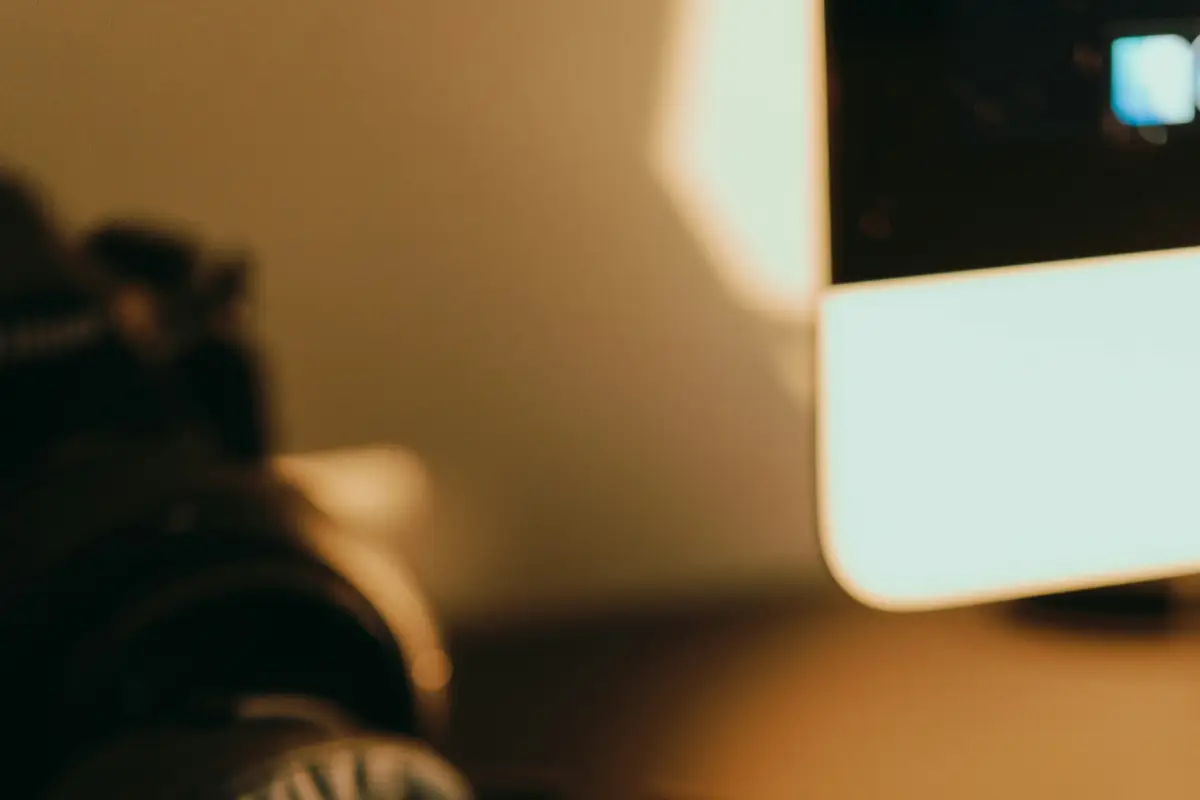 Wzrost zainteresowania inwestorów o 23% dla 'Eko-Drzewo' w 5 miesięcy